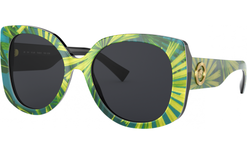 VERSACE VE 4387 5336 87.png